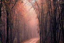 紐卡斯爾隊飛往米蘭的航班延誤 違反歐足聯賽前準備規定.