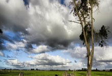 米兰体育官方app下载:【国际锐评】这个47亿人的冰雪盛会将给世界带来什么?.