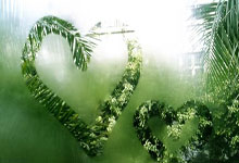 熱刺引進英格蘭國腳蘭普泰不少於5000萬鎊.