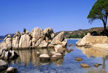 NBA灰熊球员GG·杰克逊上脚准者里夫斯一代「寂静之夜」.